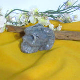Labradorite Horned Skull