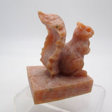 Sunstone Squirrel