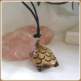 Shell of Protection Turtle Bone Amulet & Celestial Jewelry Box Set