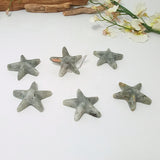Labradorite Starfish