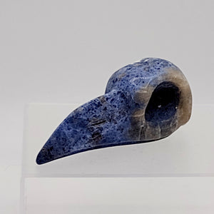 Sodalite Raven Head