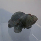 African Bloodstone Jasper Turtle