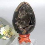 Septarian‎ Egg Druzy Geode Specimen