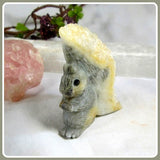 Mr. Squirrel Crystal Quartz Gemstone Cluster Totem