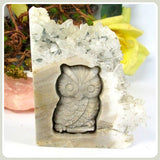 Mr. Wise Owl Crystal Quartz Gemstone Cluster Totem