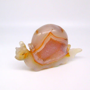 Agate Snail with Druzy