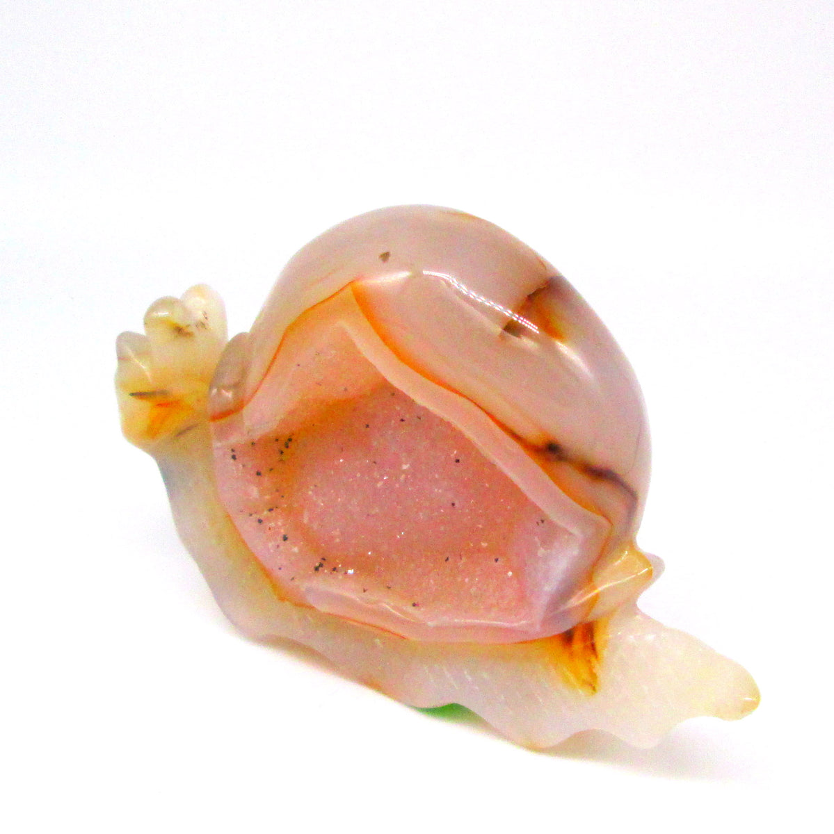 Agate Snail with Druzy – Mystical Moons