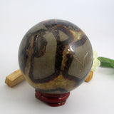 Septarian Dragon Sphere & Stand