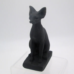 Black Obsidian Sphynx Cat