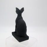 Black Obsidian Sphynx Cat