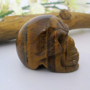 Tigers Eye Skull