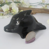 Black Obsidian Dolphin