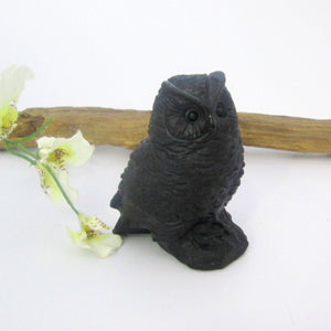 Black Obsidian Wise Owl
