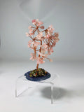 Rose Quartz Tree of Life Tree Agate Base