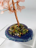 Rose Quartz Tree of Life Tree Agate Base