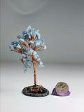 Aquamarine Tree of Life Agate Base