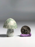 Hsiuyen Jade Mushroom