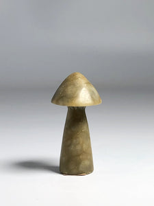 Indian Agate Mushroom