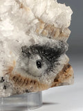 Wise Owl Crystal Quartz Gemstone Cluster Totem