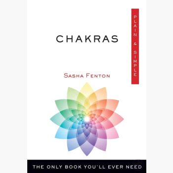 Chakras Plain & Simple Books Mystical Moons