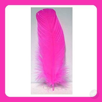 Pink Feather Ritual Mystical Moons